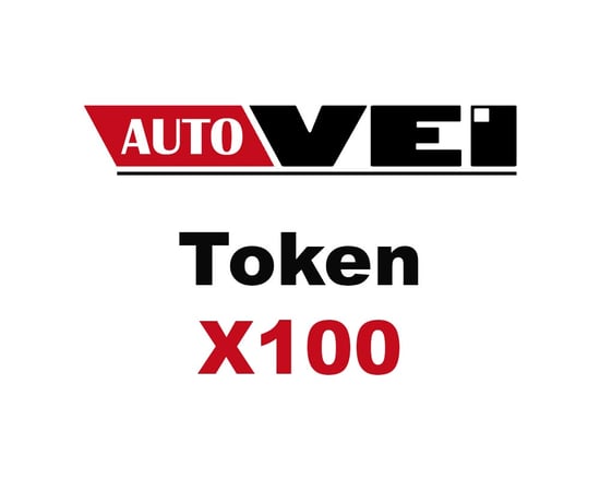 AutoVEI Truck Explorer 100 Token Charge