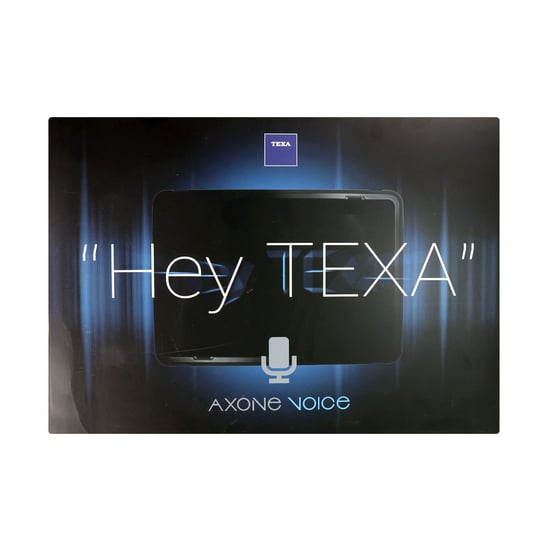 Texa D171X0 AXONE VOICE - Professional Tablet